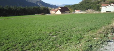 Terrain – T 539 Terrain – T 539