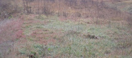 Terrain – T1048 Terrain – T1048