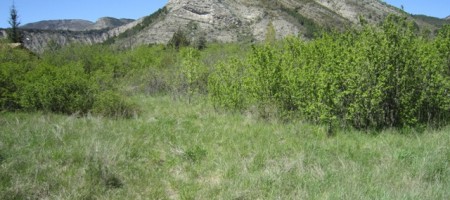 Terrain – T1074 Terrain – T1074