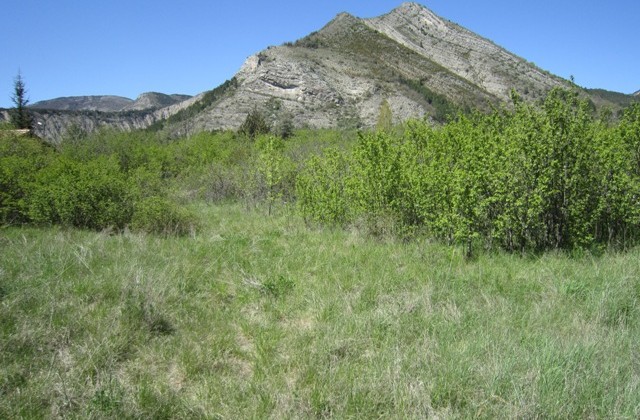 Terrain – T1074 Terrain – T1074