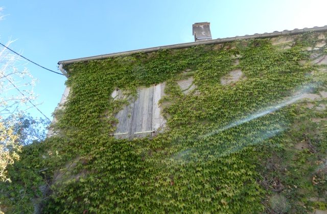Maison indépendante – m1447 Maison indépendante – m1447