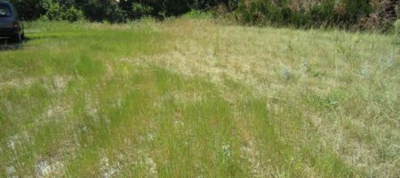 Terrain constructible – T1484 Terrain constructible – T1484