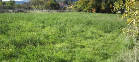 Terrain agricole – T1526 Terrain agricole – T1526