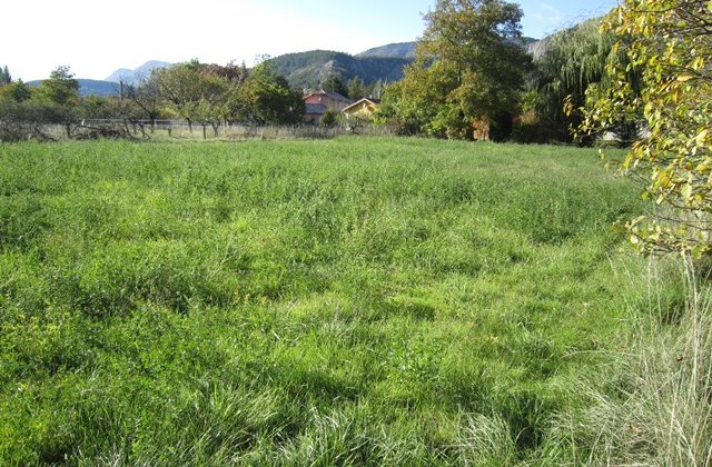 Terrain agricole – T1526 Terrain agricole – T1526