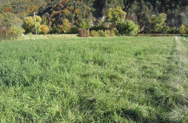 Terrain agricole – T1527 Terrain agricole – T1527