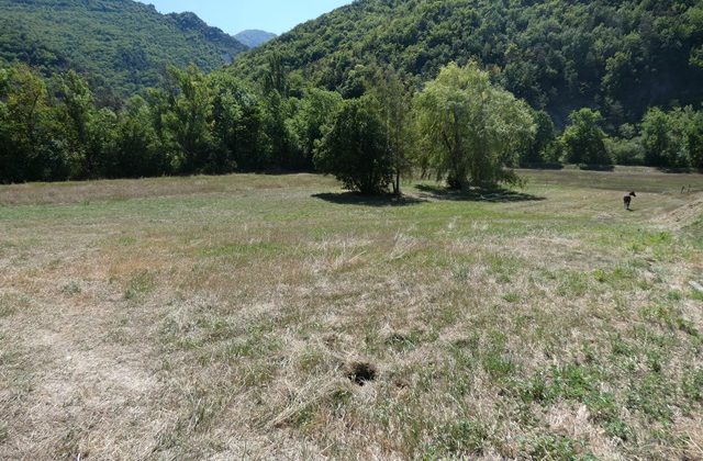Terrain à bâtir – T1138 Terrain à bâtir – T1138