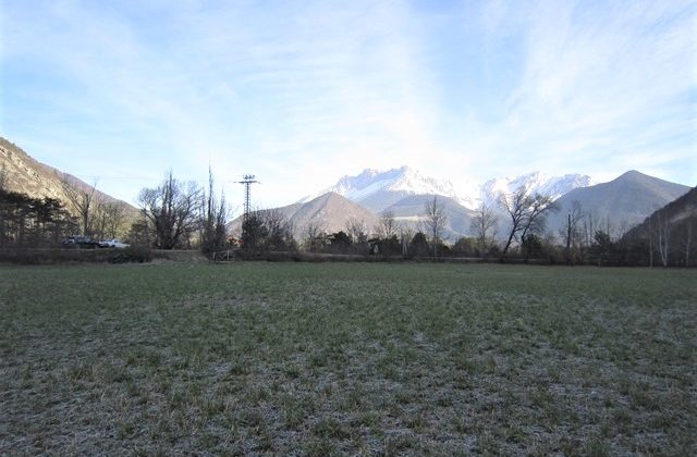 Terrain agricole – T1607 Terrain agricole – T1607