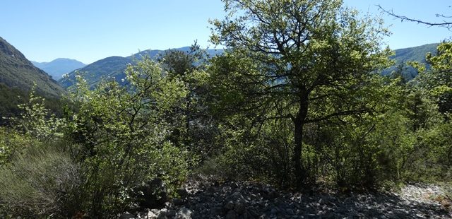Parcelle de terrain non constructible – T1708 – VEYNES 05400