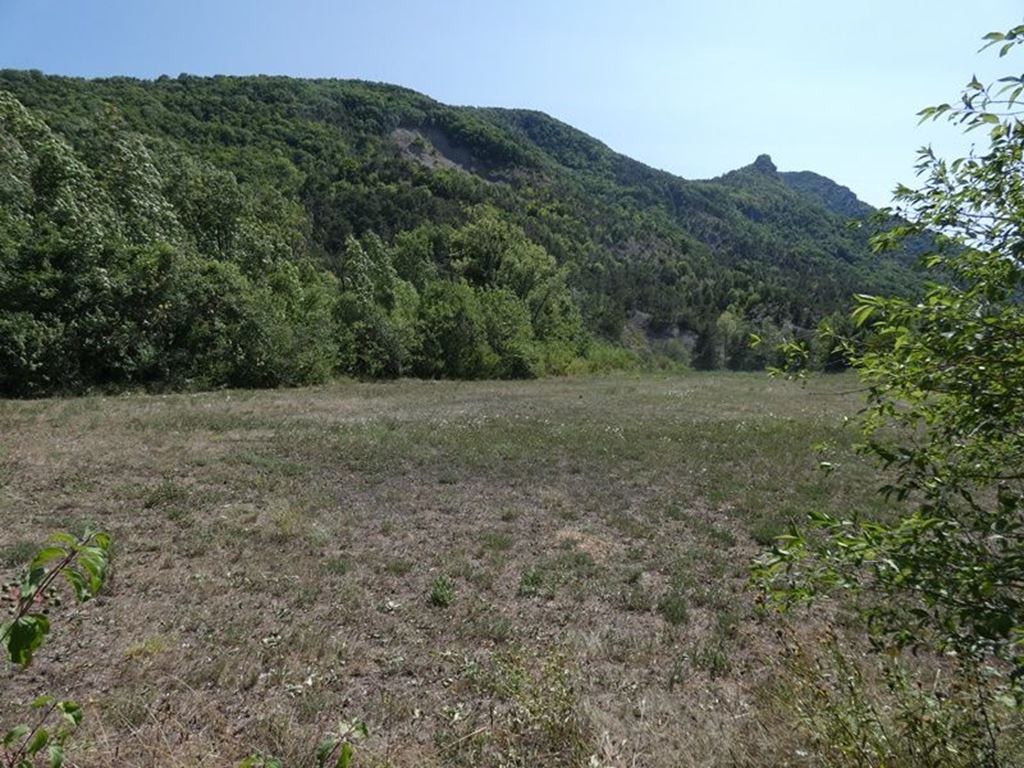 Terrain LE SAIX (05400) BUECH DEVOLUY IMMO