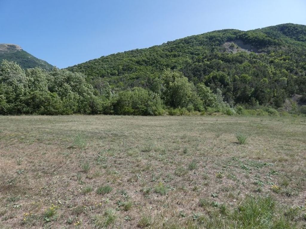 Terrain LE SAIX (05400) BUECH DEVOLUY IMMO