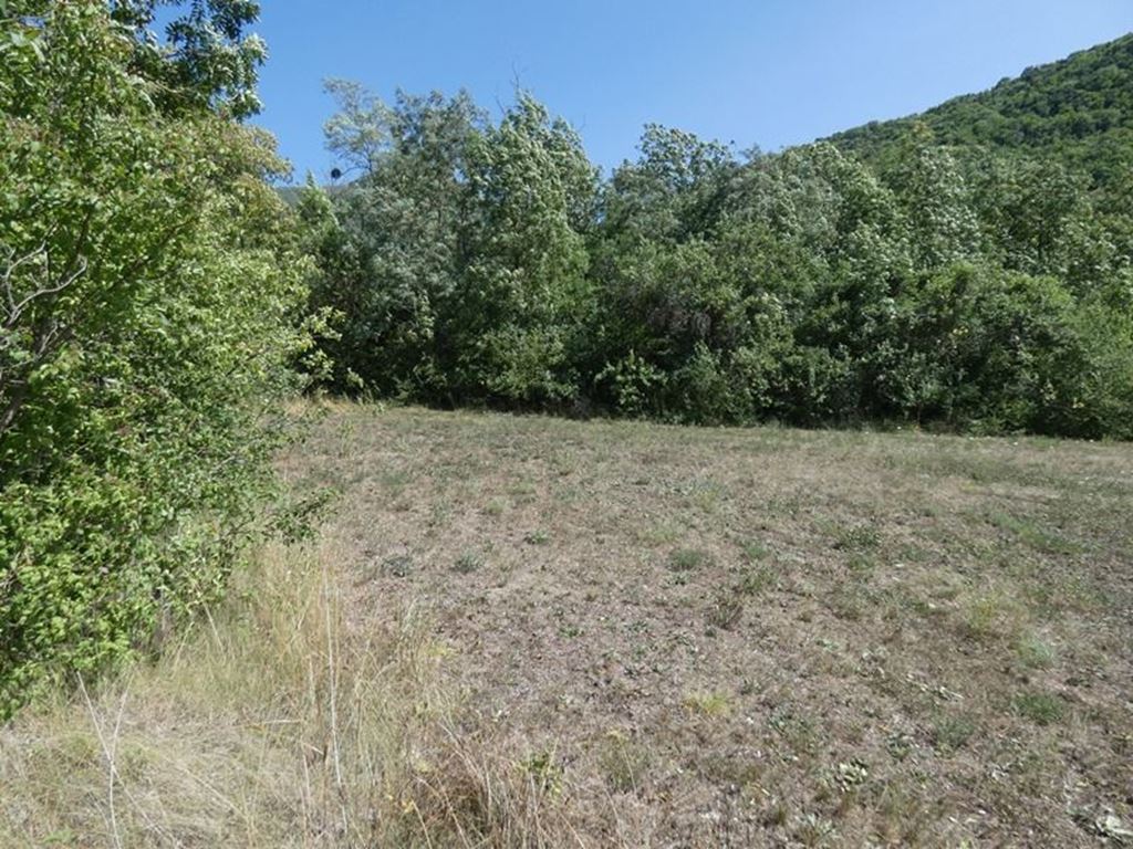 Terrain LE SAIX (05400) BUECH DEVOLUY IMMO