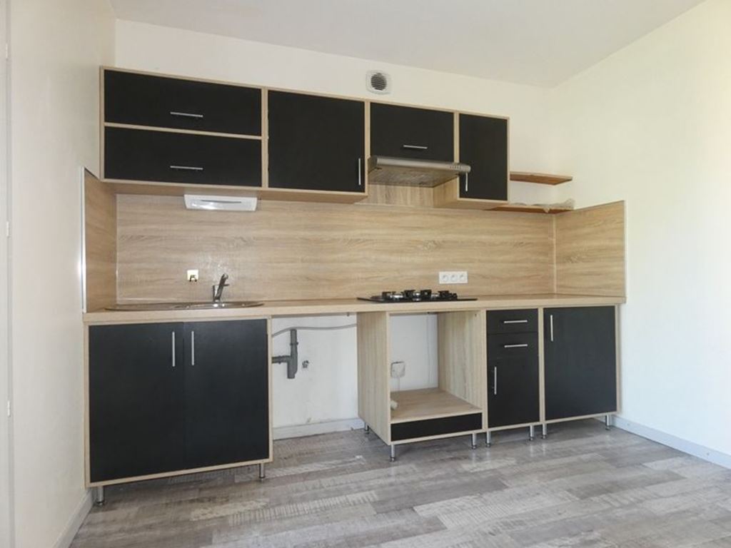 Appartement VEYNES (05400) BUECH DEVOLUY IMMO