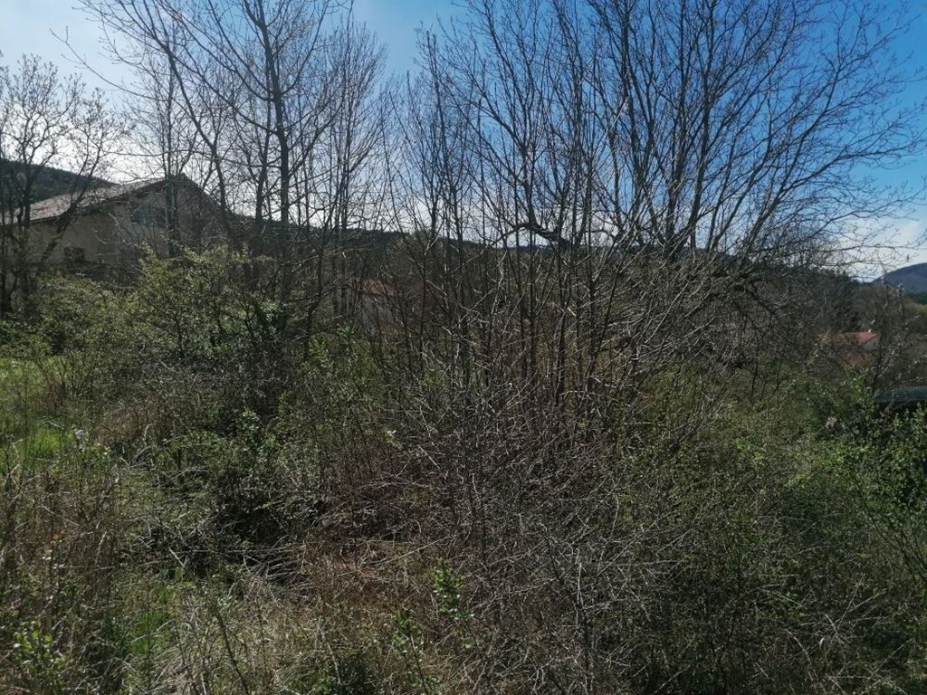 Terrain LA FAURIE (05140) BUECH DEVOLUY IMMO