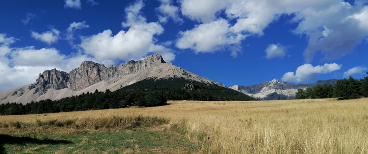 Bloc recherche BUECH DEVOLUY IMMO