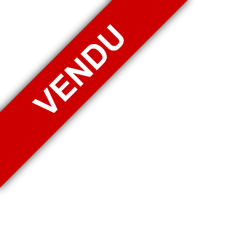 bandeau BUECH DEVOLUY IMMO