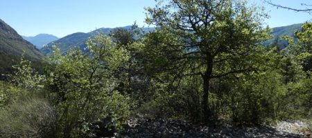 Parcelle de terrain non constructible – T1708 – VEYNES 05400 Parcelle de terrain non constructible – T1708 – VEYNES 05400