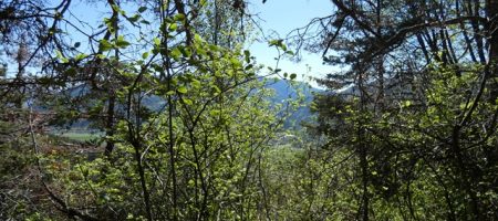 Parcelle de terrain non constructible – T 1709 – VEYNES 05400 Parcelle de terrain non constructible – T 1709 – VEYNES 05400
